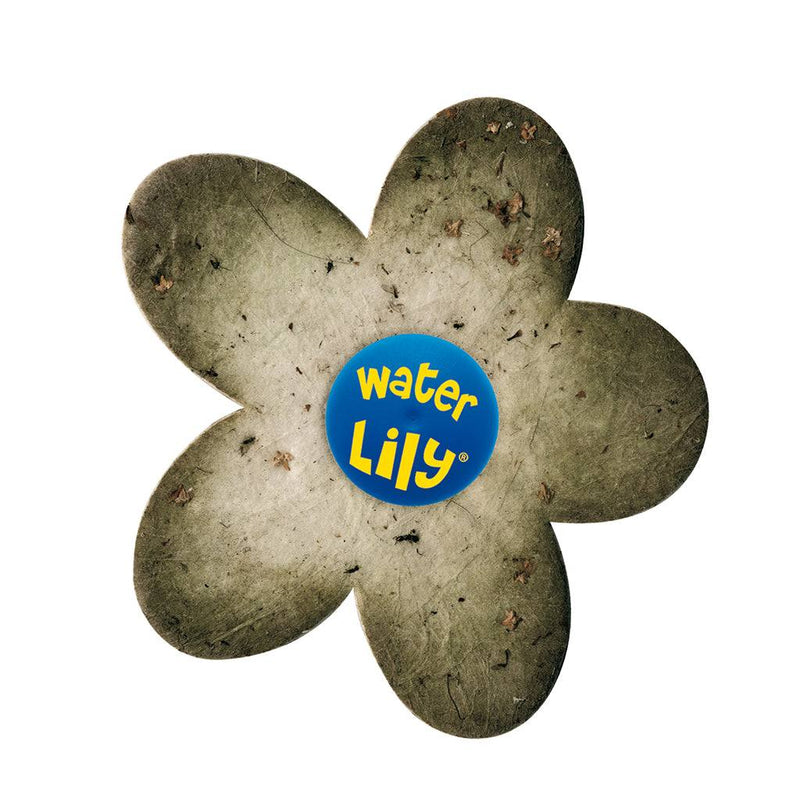 Esponja absorvente flutuadora Water Lily