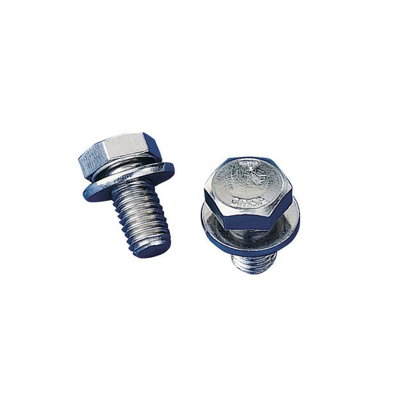 Stainless steel screw for step A316