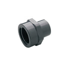 multi-female transitional union