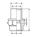 multi-female transitional union