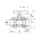 Collar hembra de válvula de bola de PVC estándar